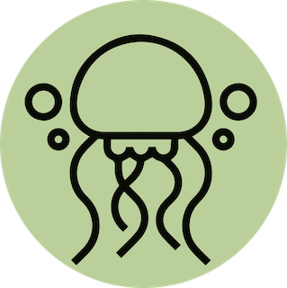 Icon of a jellyfish